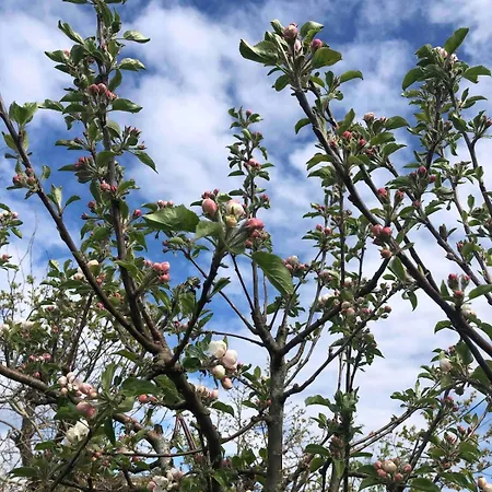 Great Sea View بيت للعطل كريستينساند