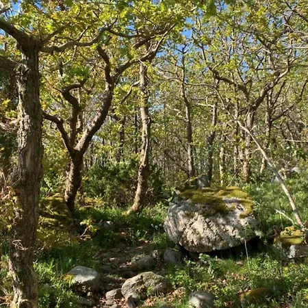 Great Sea View بيت للعطل