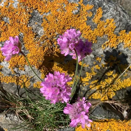 بيت للعطل Great Sea View كريستينساند