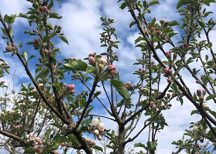 Great Sea View Ferienhaus Kristiansand