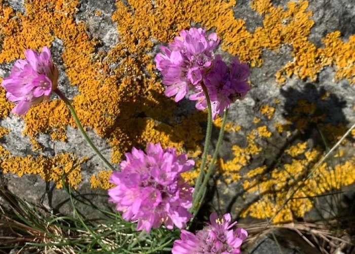 Дом отдыха Great Sea View Кристиансанд